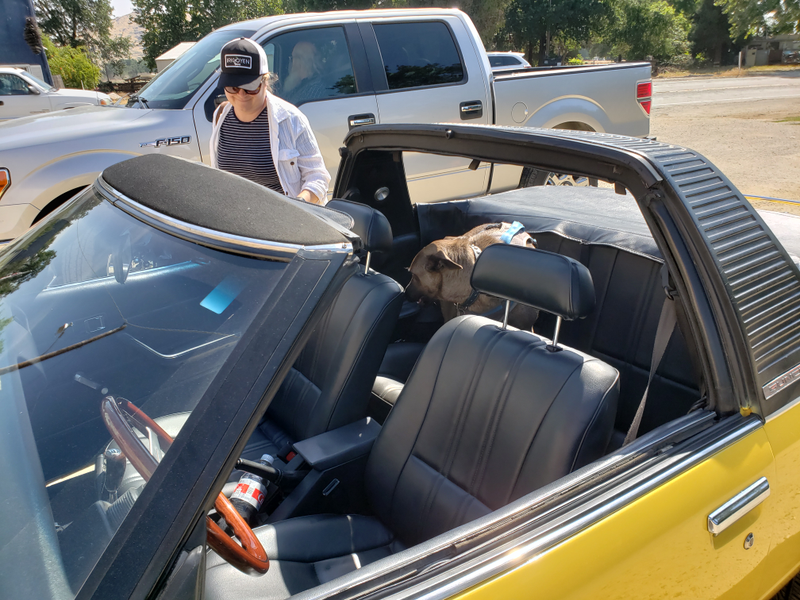 Illustration for article titled Sunchaser drive